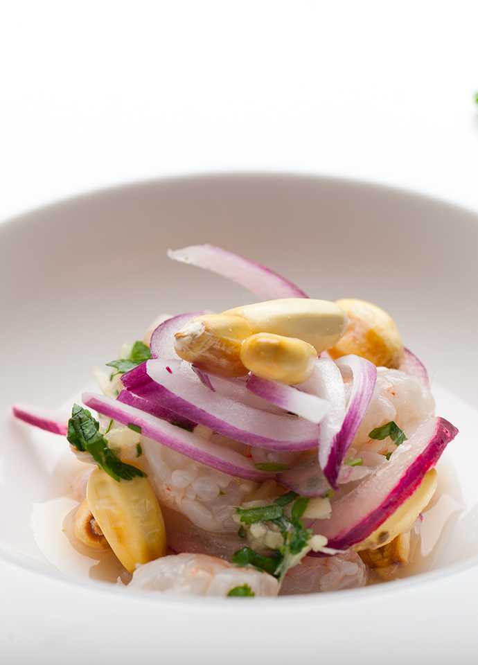 Todos los tipos distintos de ceviche