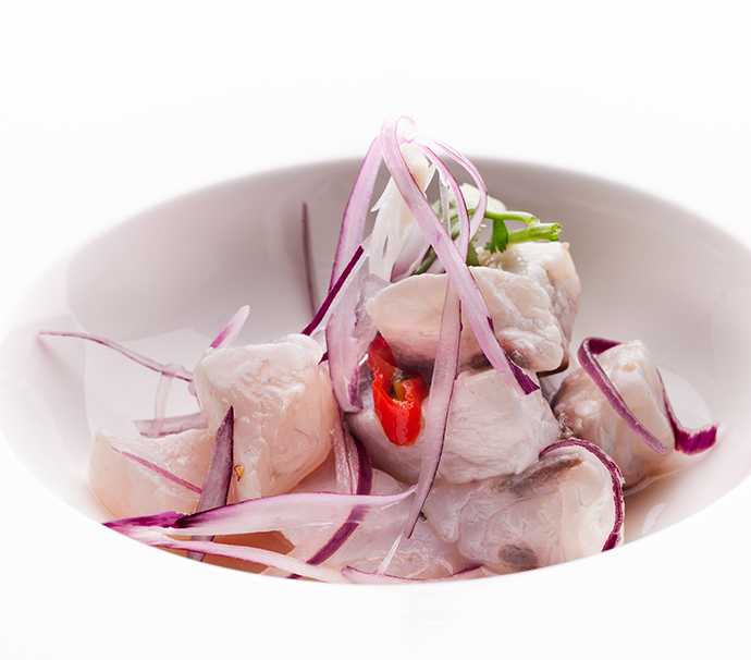 Cocina en crudo ceviches carpaccios