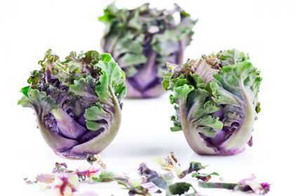 Curso de alta cocina vegana en Madrid centro