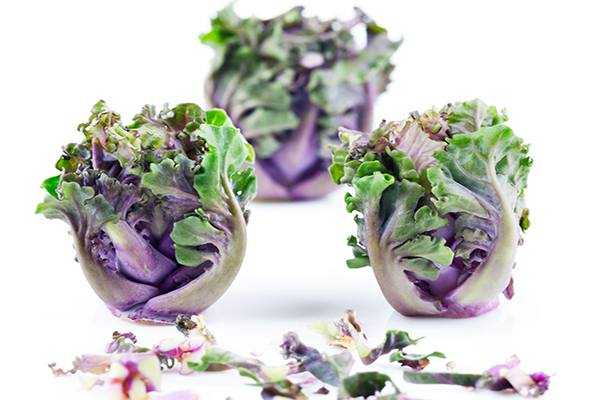 Curso de alta cocina vegana en Madrid centro