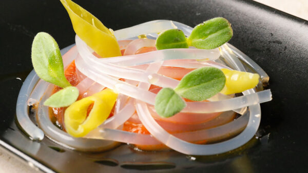 curso de cocina molecular