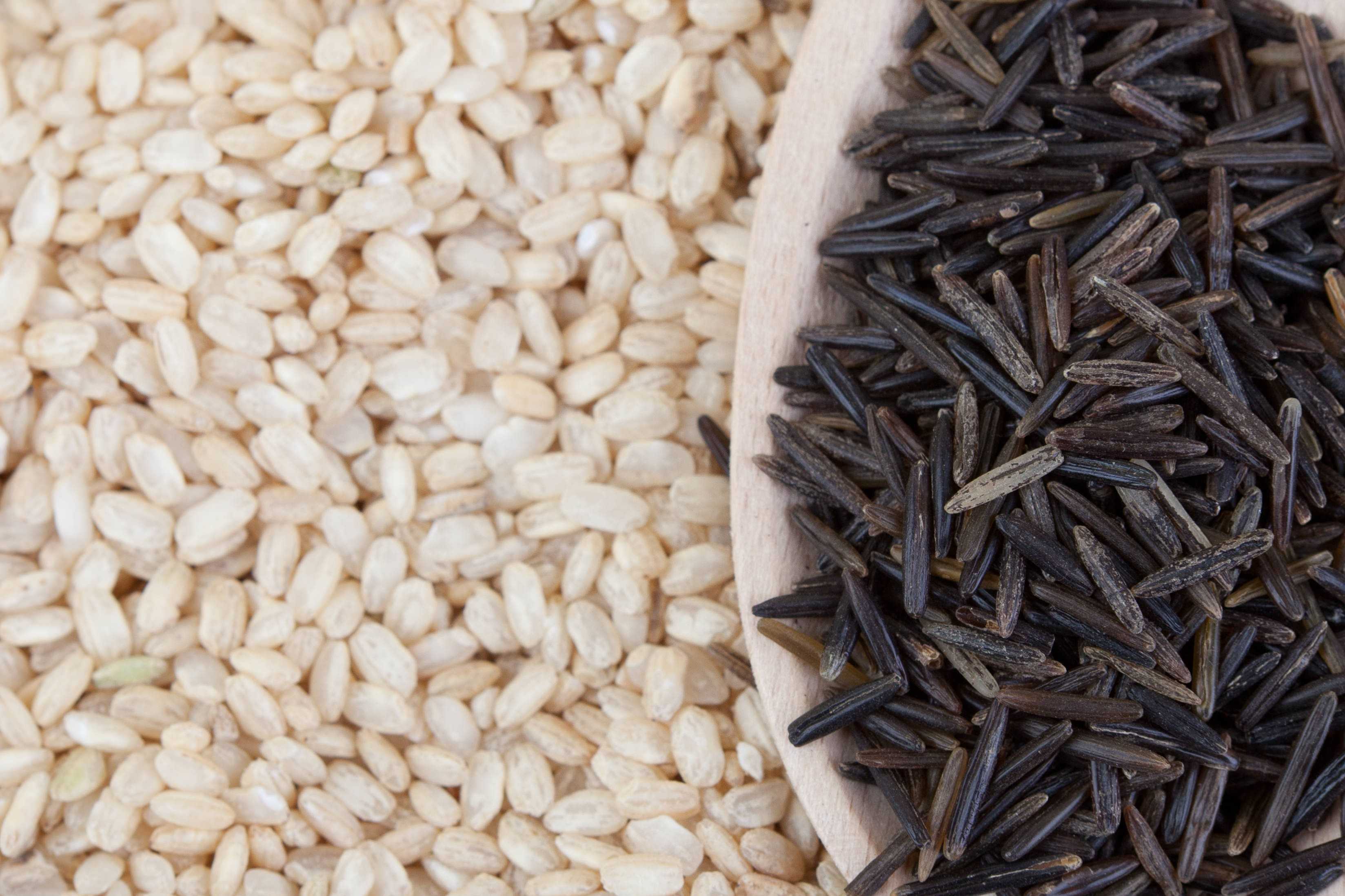 ARROZ NEGRO MELOSO CON CHIPIRONES