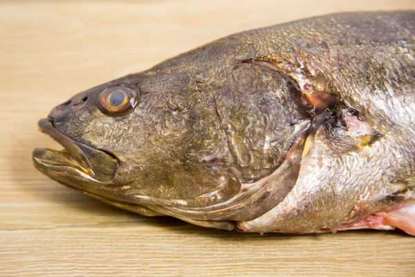 Lubina asada con tomates y queso feta