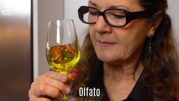 Oleogusto el sexto sabor