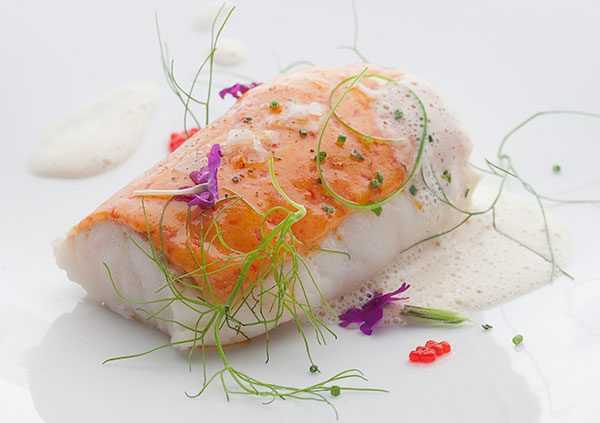 Curso de cocina: pescados y mariscos