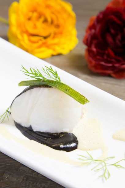 Curso de cocina vacío