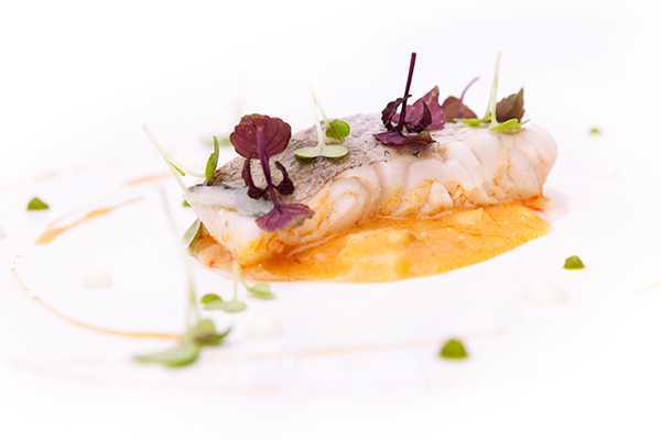 Curso del mar, los pescados: cortes, técnicas y limpieza en Madrid