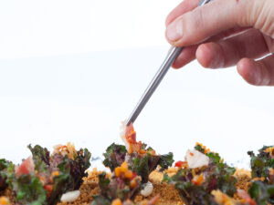 Tarjeta regalo cocina con nuevas técnicas