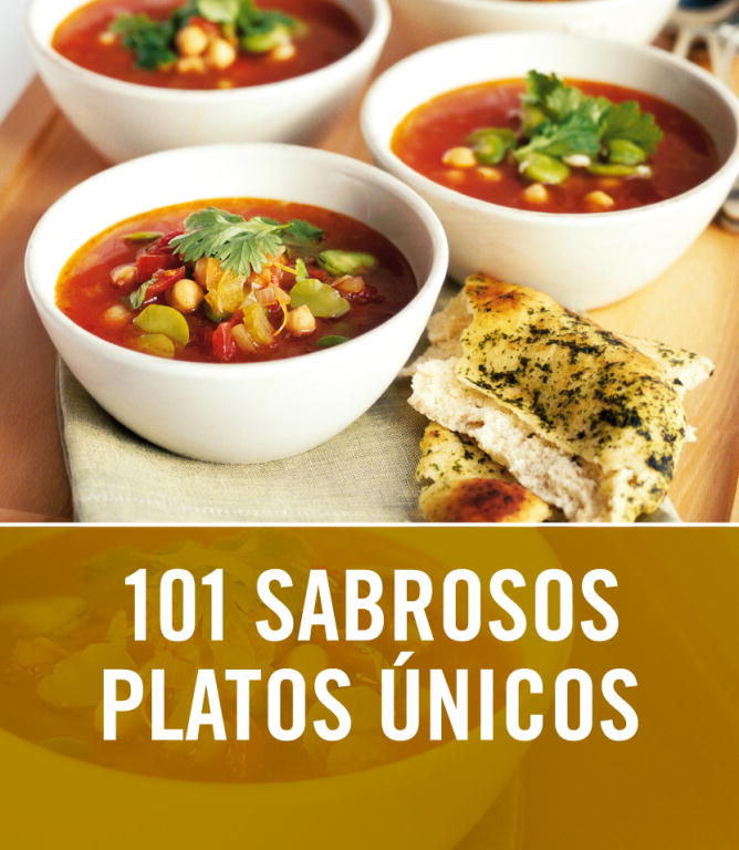 101 SABROSOS PLATOS ÚNICOS