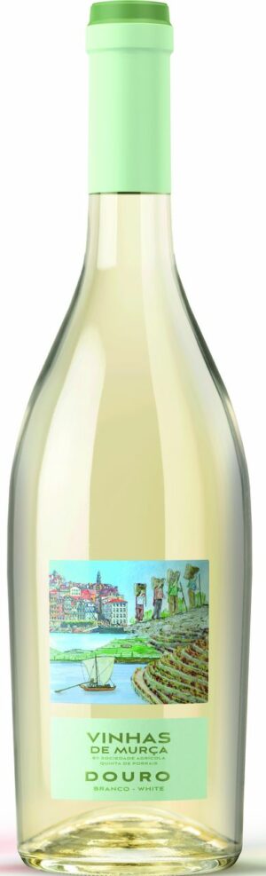 VINHAS DE MURCA DOURO - PORTUGAL